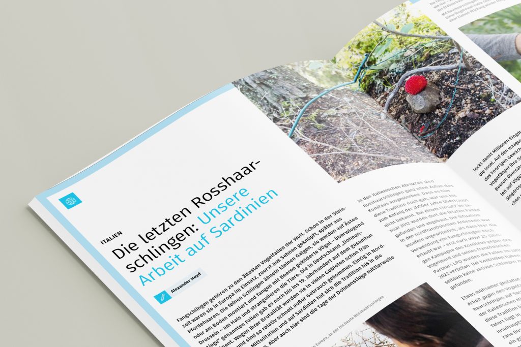 Redaktionell gestaltete Doppelseite des Artenschutzbriefs mit einem Bericht &uuml;ber Ma&szlig;nahmen gegen den Vogelfang auf Sardinien sowie erg&auml;nzenden Fotografien und Hintergrundinformationen.